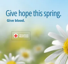 Give hope this spring. Give blood. text on background with daisies and blue sky.